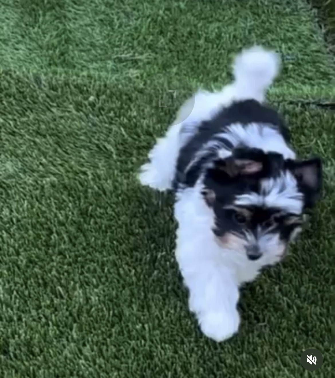 Side view of Bella