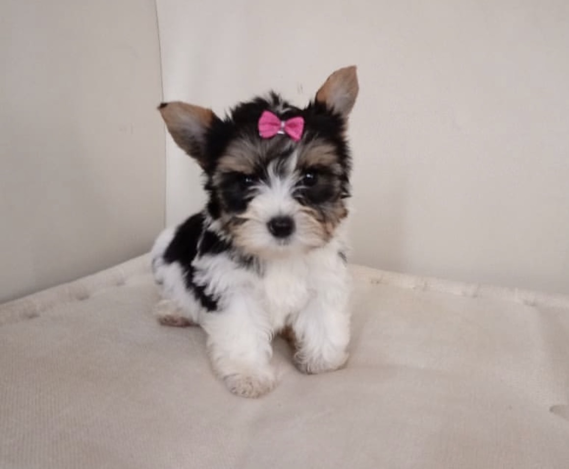 Side view of Charlie