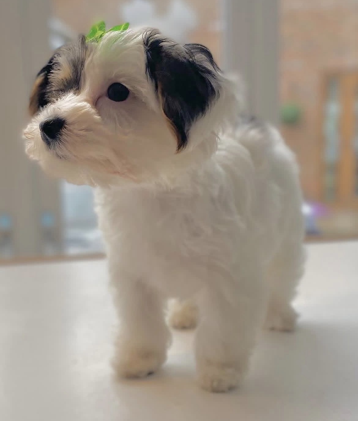 Side view of Luna