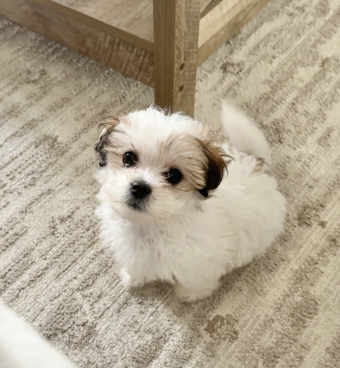 Side view of Lulu