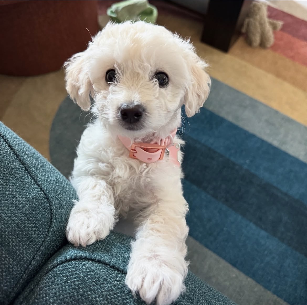 Side view of Mia