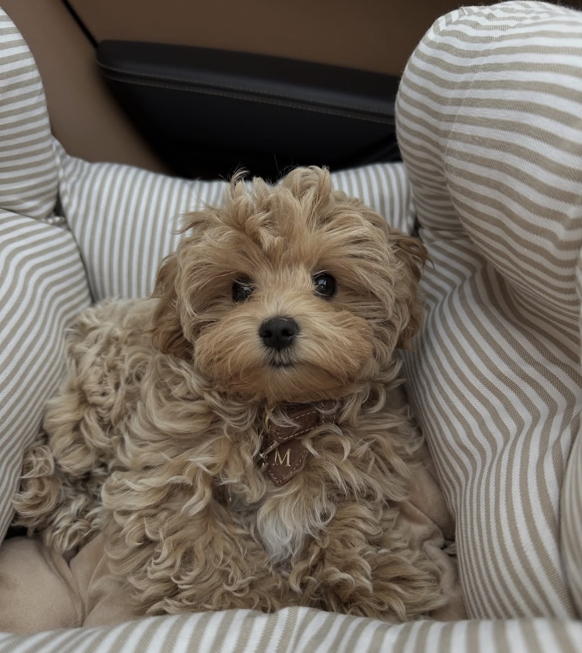 Side view of Zoe
