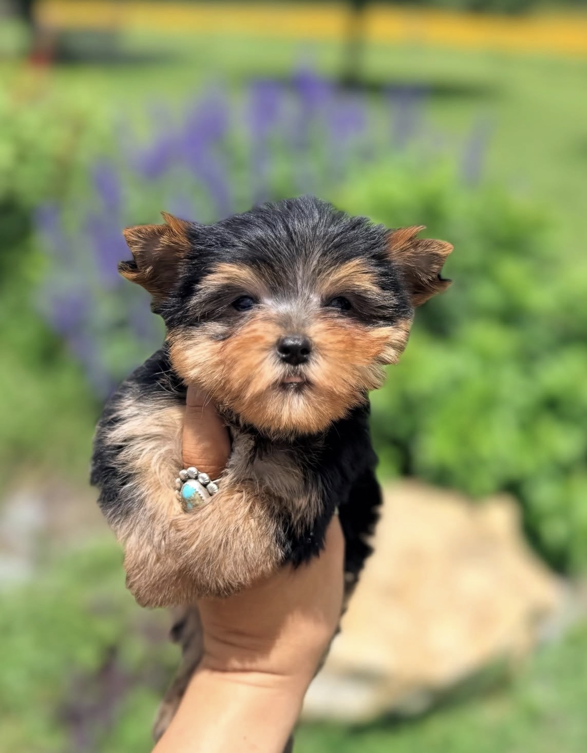 Side view of Zoe